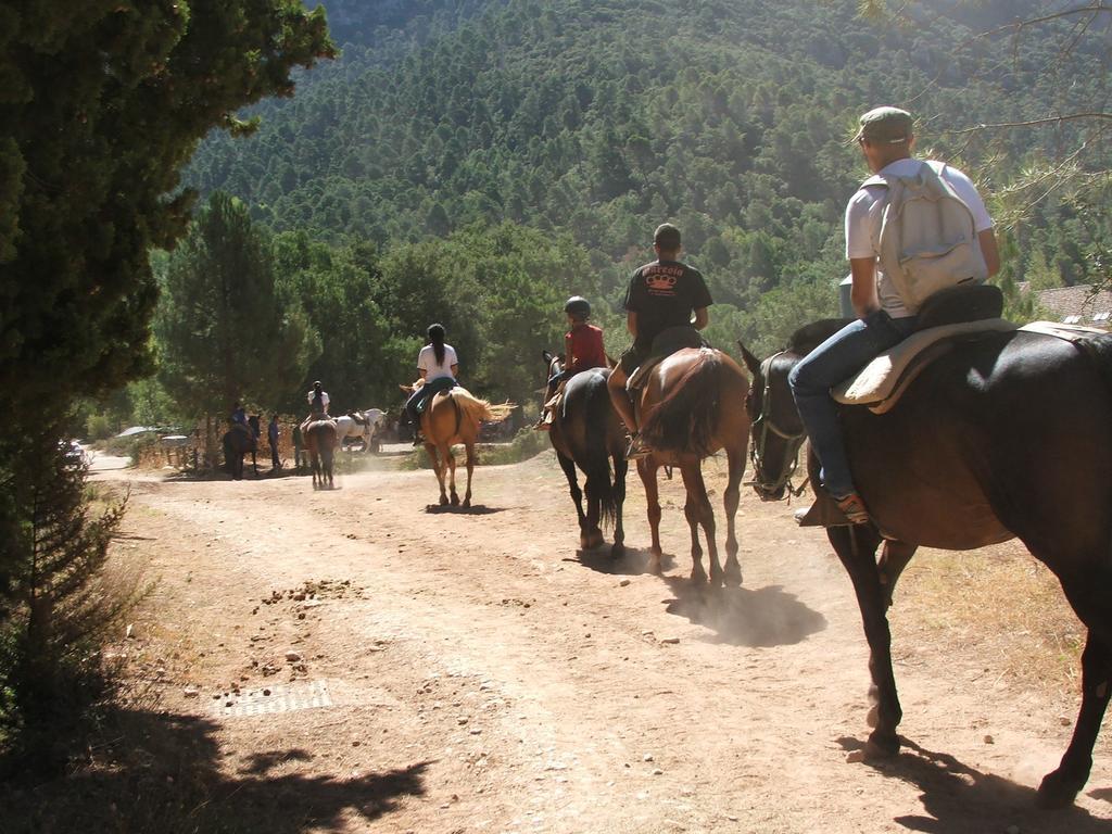 Hotel Rural Montana De Cazorla Arroyo Frío Extérieur photo